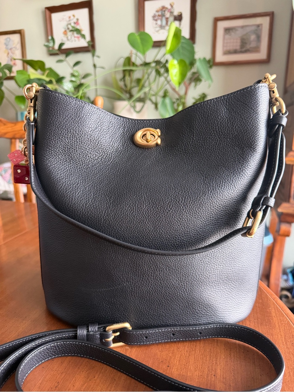 Coach Willow Soft Bucket Bag